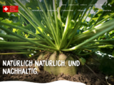 https://www.zucker.ch