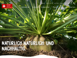 https://www.zucker.ch