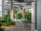 http://www.creaplant.ch