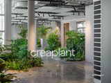 http://www.creaplant.ch