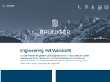 https://www.brueniger.com