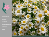 https://www.florita.ch