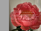 https://www.florita.ch