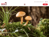 https://www.kernser-edelpilze.ch