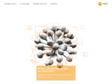 http://www.rzintegral.ch