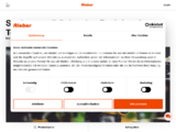 https://rieber.systems/de