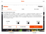 https://rieber.systems/de