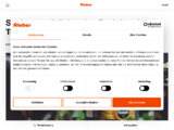https://rieber.systems/de