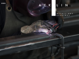 http://www.acklin.ch