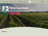 https://www.rebschule-meier.ch