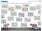 https://www.pondis.ch