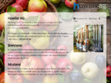 http://www.huwilerag.ch