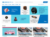 http://www.hoelzle.ch