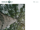 https://www.pirminjung.ch
