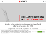 https://www.aignep.com