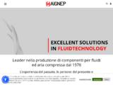 https://www.aignep.com